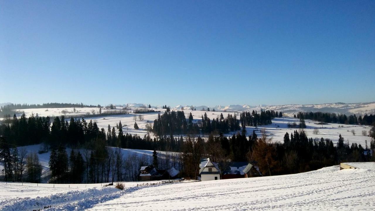 U Marii & Mariana Villa Leśnica Екстериор снимка